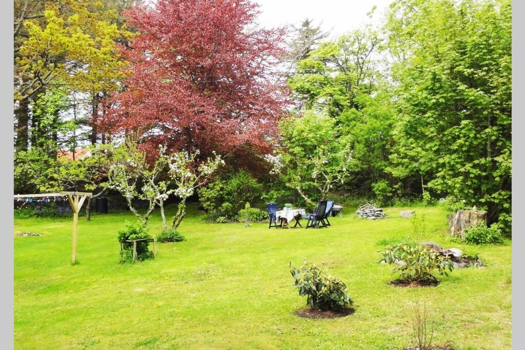 Charming Flat In Cosy Farmhouse Skudeneshavn Luaran gambar